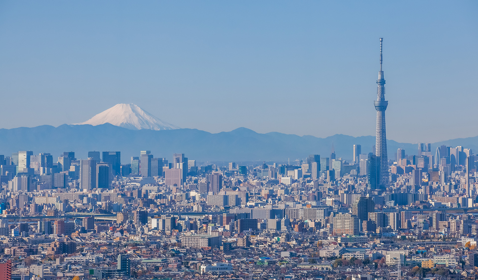 日本｜Preparing for the future